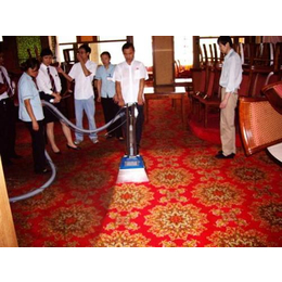 武汉地毯清洗、黄马褂绿之源(在线咨询)、地毯清洗 价格