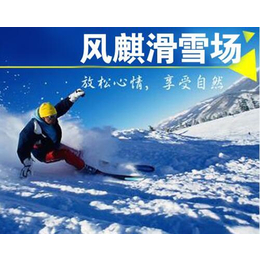 滑雪场_山西凤麒生态(在线咨询)_山西滑雪场