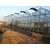 温室|玻璃大棚价格|青州鑫泽农业科技(多图)缩略图1