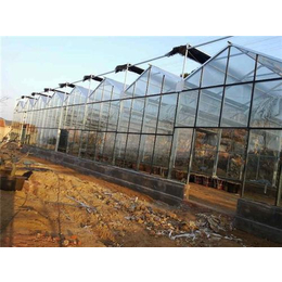 温室|玻璃大棚价格|青州鑫泽农业科技(多图)