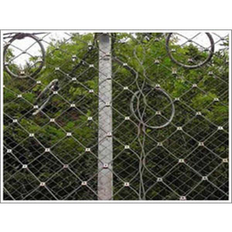 供应边坡防护网 镀锌电焊网 建筑安全防护网