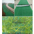 *冲植生毯 边坡绿化椰丝毯 环保草毯 麻椰固土毯缩略图2