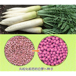 潍坊晟海农业科技、种子包衣粉厂家、种子包衣粉