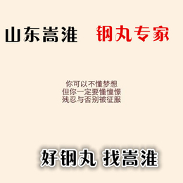 铸钢丸铸钢砂钢丝切丸不锈钢丸铜丸锌丸铝丸缩略图