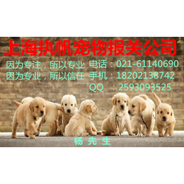 上海宠物代理报关公司