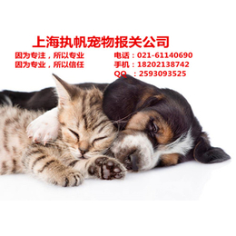 SH上海入境宠物报关报检注意事项