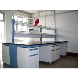 实验室家具安装-广东瑞可实验工程****的安装团队