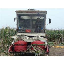 昌盛机械(图),玉米收割青贮机,青贮机