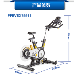 美国爱康ICON PFEVEX79911 动感单车