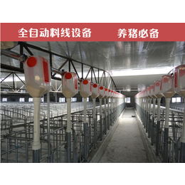 猪场养猪设备自动化料线系统