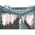 供应厂家*肉类保鲜库以及冷藏库建设滁州市来安县缩略图3