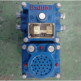 KXH127矿用隔爆兼本安型声光信号器  矿用声光组合信号器