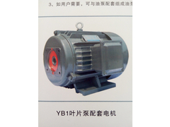 YP1叶片泵电机
