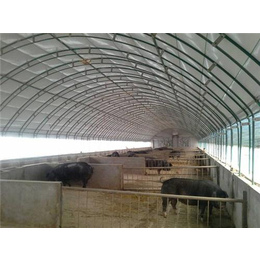 畜牧养殖大棚|久阳畜牧工程|畜牧养殖大棚厂家
