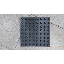 排水板,兴源防水材料(****商家),25mm排水板