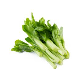 新鲜蔬菜菜心批发价格 