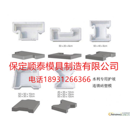 供应锁块护坡模具 连锁护坡模具