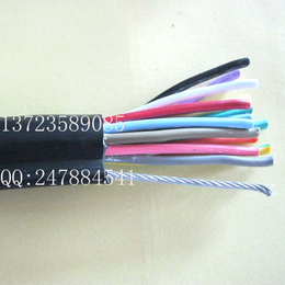起重机电缆升降机电缆电动葫芦钢丝控制电缆缩略图
