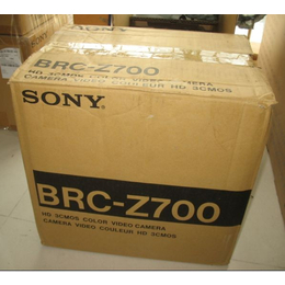 深圳长期供应BRC-Z700高清彩*会议摄像机