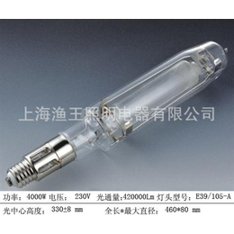 石英空中集鱼灯,渔王照明电器价格实惠,石英空中集鱼灯批发