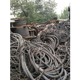 燕兴电缆回收(图),废旧电线电缆收购价格,延边电线电缆回收