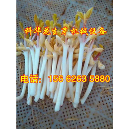 科华花生芽机_上饶全自动芽苗菜机械设备，豌豆苗机械