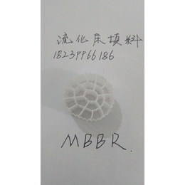 生物膜法污水处理 M*R流化床填料 12-9