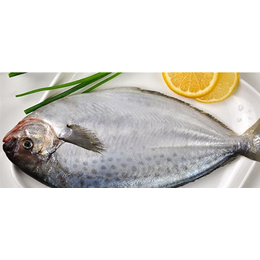 鲳鱼、万斛食品、冷冻鲳鱼批发出口韩国缩略图