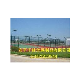千林丝网供应厂家直销4米高3米宽的篮球场围网多种尺寸均有缩略图