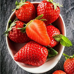 万州妙香草莓苗,妙香草莓苗多少钱,乾纳瑞农业科技