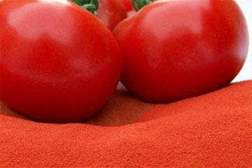 番茄粉生产工艺及用法