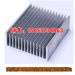 铝型材铸铝散热器 铝制散热器