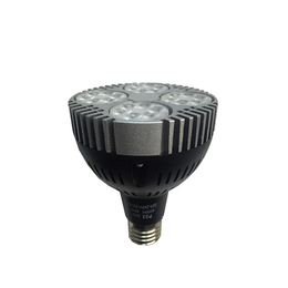 供应 邦特LED-PAR30灯泡-P23