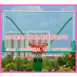 四川省雅安市儿童篮球架价格行情