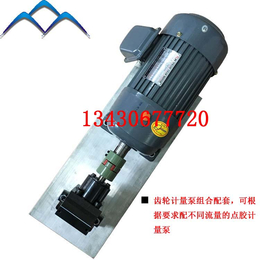 上海*齿轮计量泵加电机组合配套 可配不同计量泵