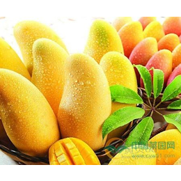 台湾水果进口到广州清关单证问题服务