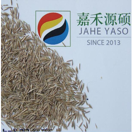 鼠茅草每亩成本丨绿肥作物丨鼠茅草种子丨北京嘉禾源硕			