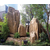 城市景观雕塑,苏州景观雕塑,京文品质保证(多图)缩略图1