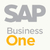 广州SAP business one-广州达策缩略图1