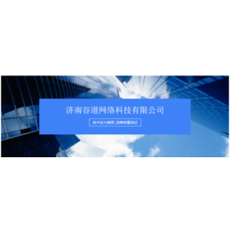 *软件系统模式介绍北京*软件公司