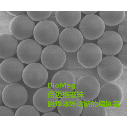 BioMag羟基磁珠提取核酸