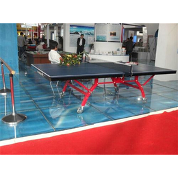 乒乓球台_奥成体育_销售各种****乒乓球台批发及零售