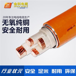 柔性防火矿物质电缆(图)、柔性矿物质电缆BTLY、BTLY
