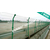 厂家定制绿色双边丝护栏 广州双边丝护栏厂家 高速公路隔离栅缩略图3