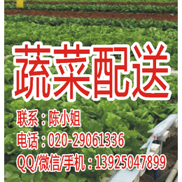 萝岗蔬菜配送-鼎魁农产品