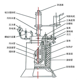 潍坊磁力反应釜生产厂家、潍坊磁力反应釜、宏协化工