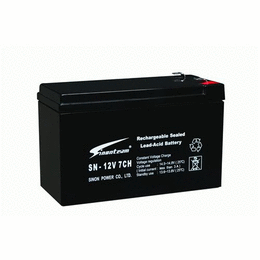 赛能蓄电池SNT12-12 12V12.0AH UPS*