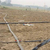 烟台输水带,源美节水器材(在线咨询),灌溉输水带缩略图1