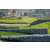 哈尔滨石笼网厂供应生态景观设计护坡格宾石笼网尺寸 价格 厂家缩略图2