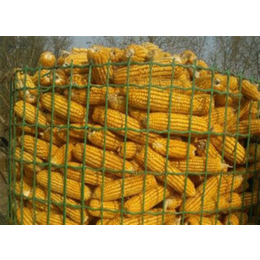 圈玉米电焊网|翰航丝网|圈玉米电焊网品种
